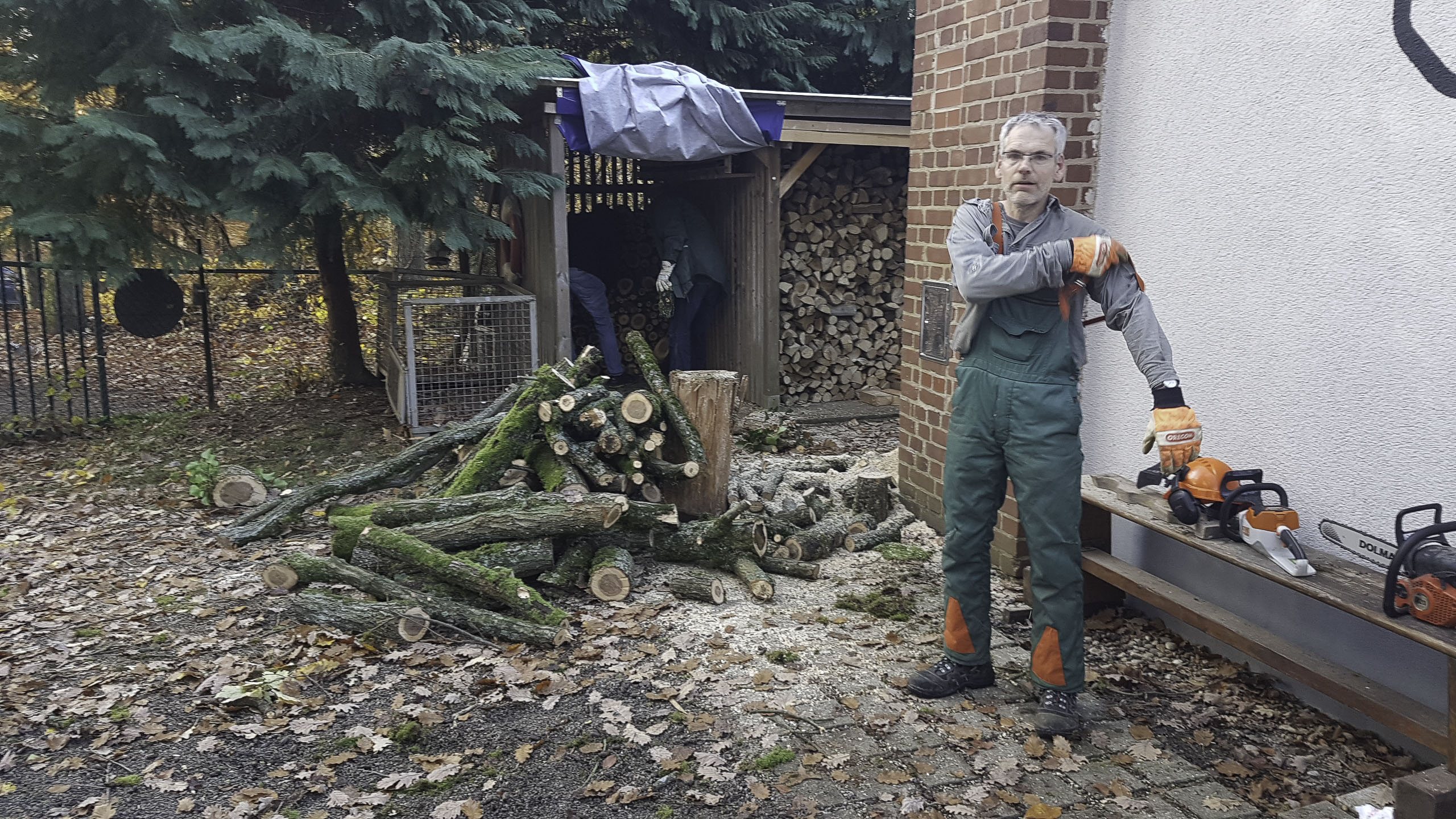 Holzausbaeute